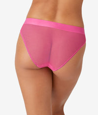 Opening Act Cheeky: Coneflower