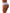 b.bare Hi-Waist Thong: Night